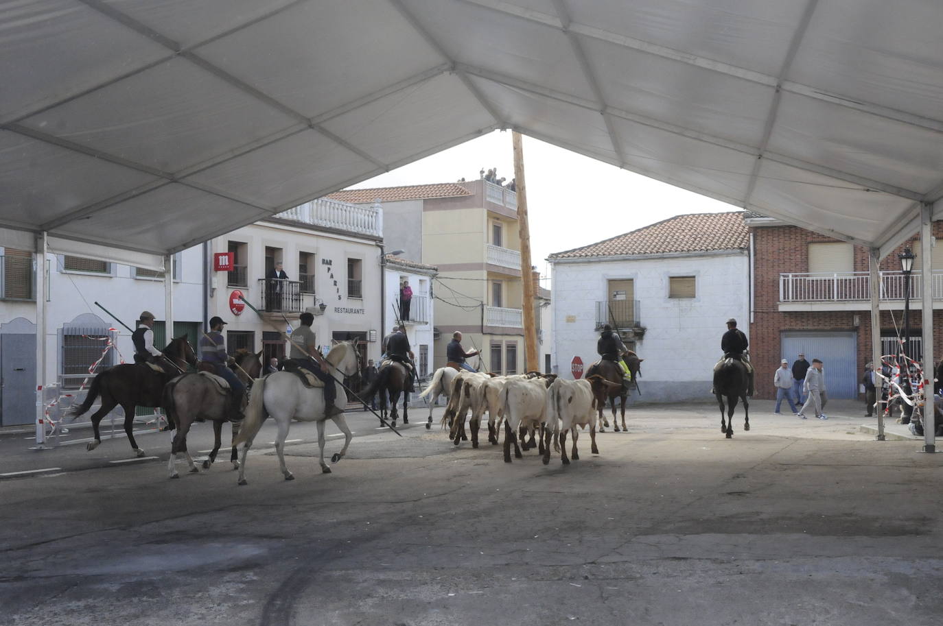 Fulgurante encierro con caballos en Martiago