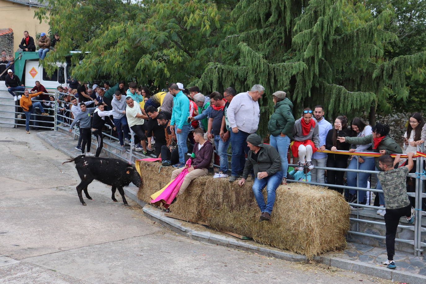 Cristóbal llena en la vuelta de las vaquillas a sus fiestas