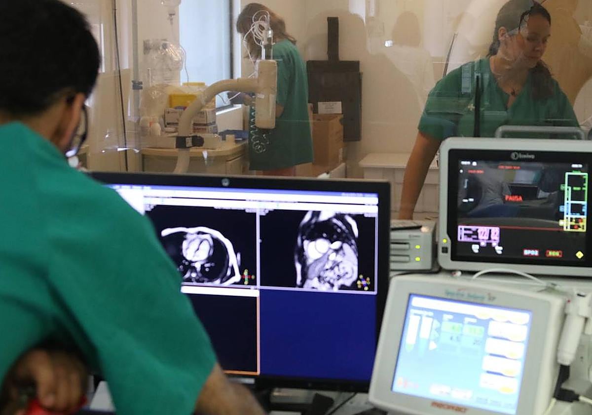 La inteligencia artificial evitará 500 muertes y hasta 2.000 ingresos