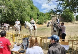 Celebración de la pasada feria de mayo en el Teso de Béjar.