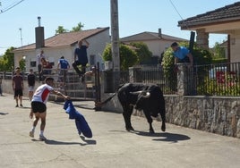 La juventud disfruta con los variados encierros y capeas por las calles de Espeja.