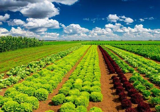 El grupo de investigación TIDOP lidera una convocatoria para 'startups' que aporten innovaciones para el entorno rural