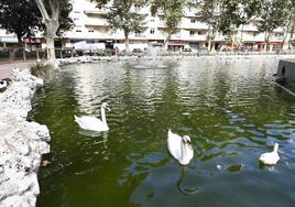 El agua del estanque de La Alamedilla se tiñe de verde de nuevo y el Ayuntamiento no encuentra solución