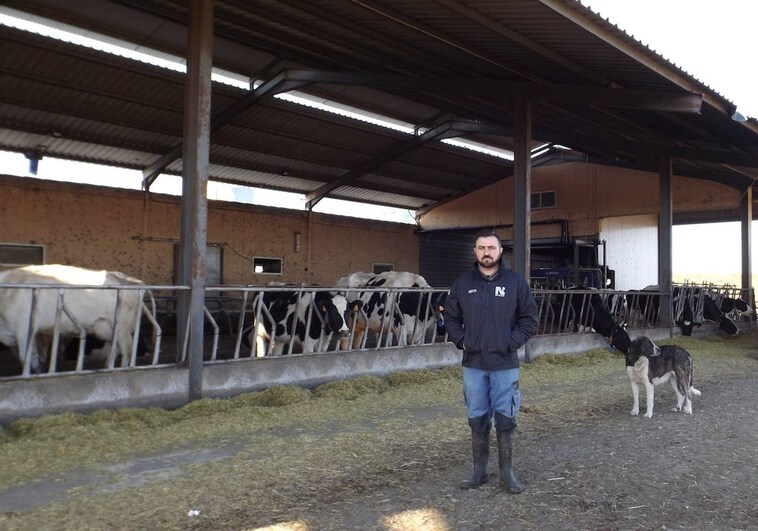Golpe a las ganaderías de vacas de leche