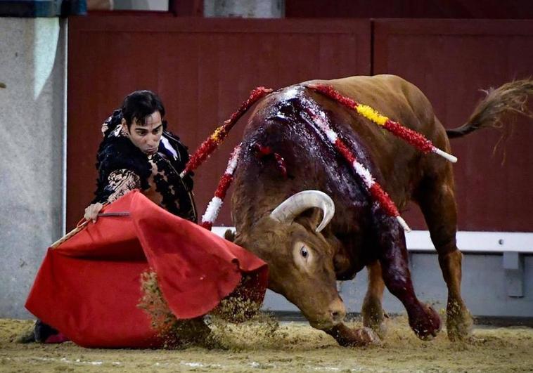 Pedraza de Yeltes gana el concurso de ganaderías de Las Ventas