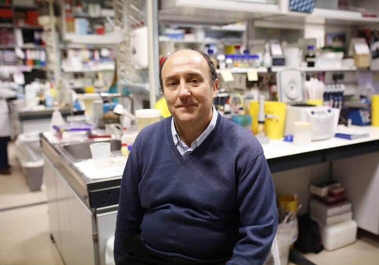 Más de cien expertos analizan en Salamanca la mayor red mundial de datos de cánceres hematológicos