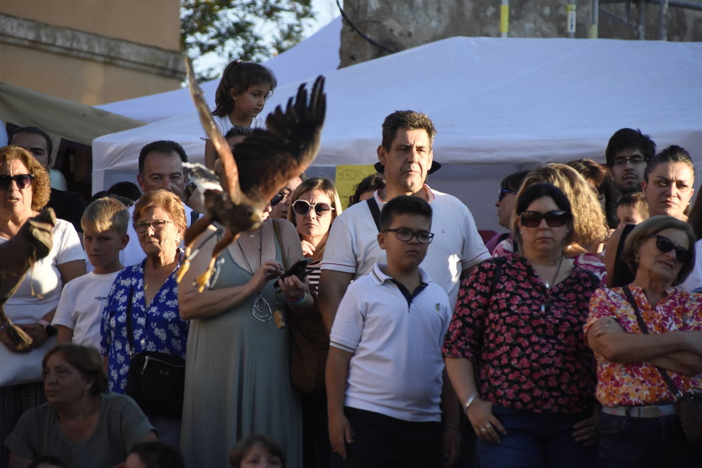 Jubones, cotas, sayas y brocados toman Miróbriga