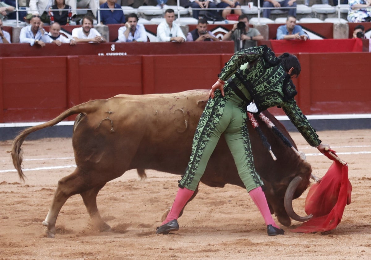 Derechazo de Miguel Ángel Perera a la codiciosa embestida de Madrileño, de Vellosino, lidiado el 10 de septiembre en La Glorieta.