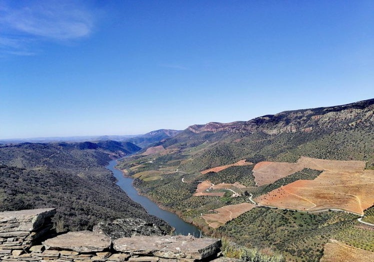 El Mirador de los Pajeros, Hinojosa del Duero.