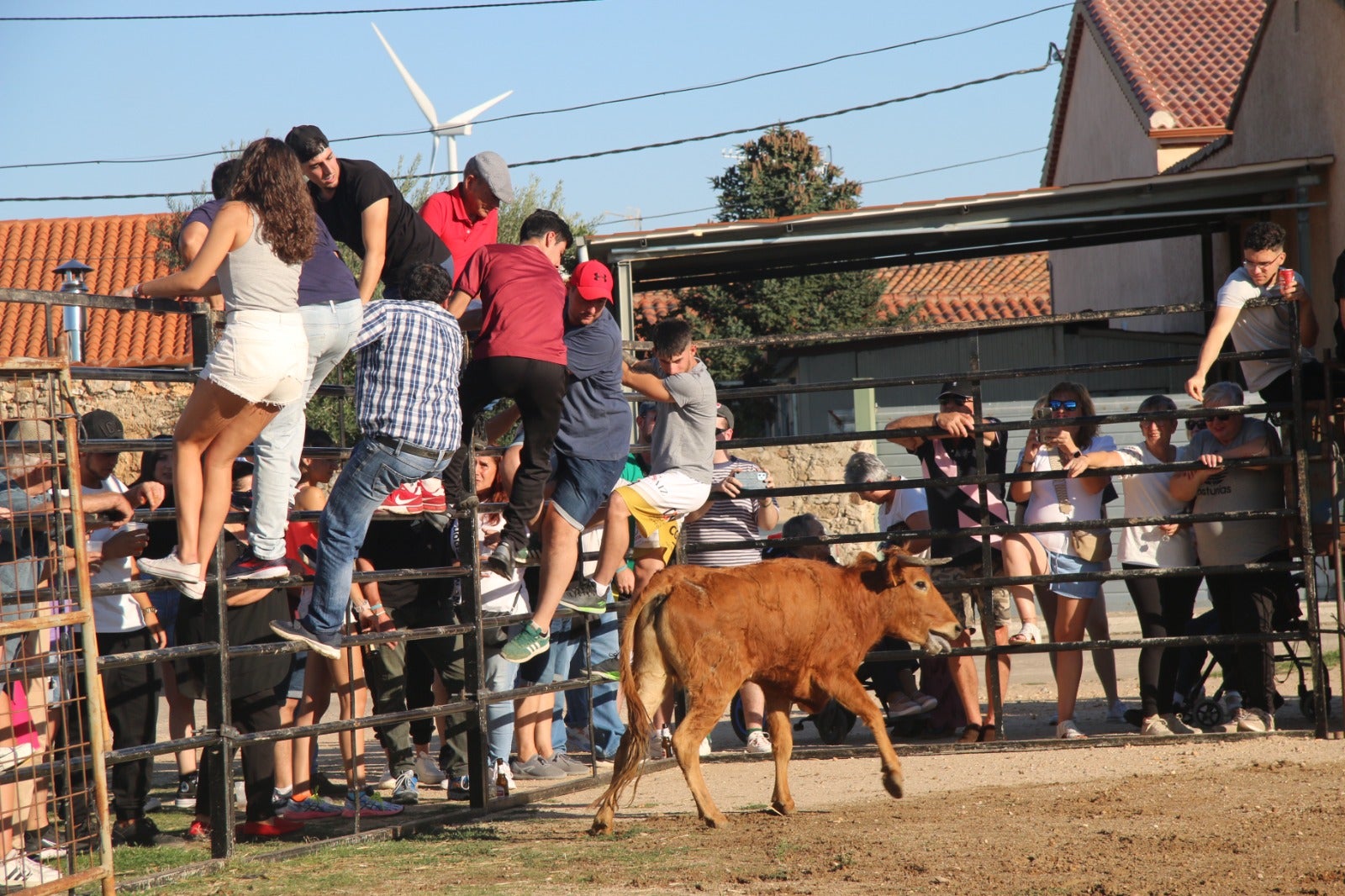 Divertida capea con vaquillas saltarinas en Santiz