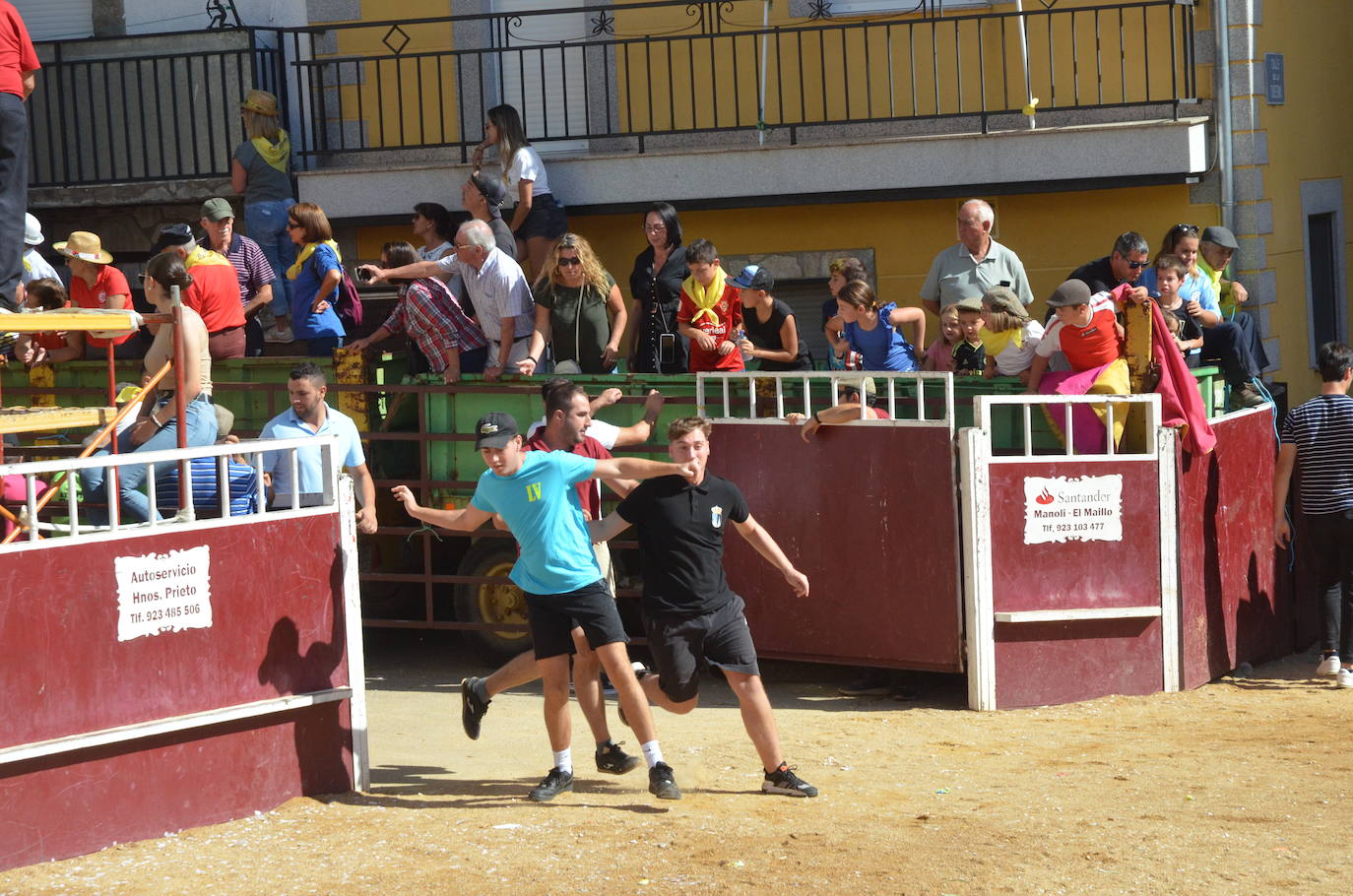 Último encierro en El Maíllo