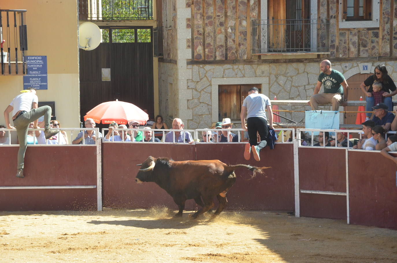 Último encierro en El Maíllo