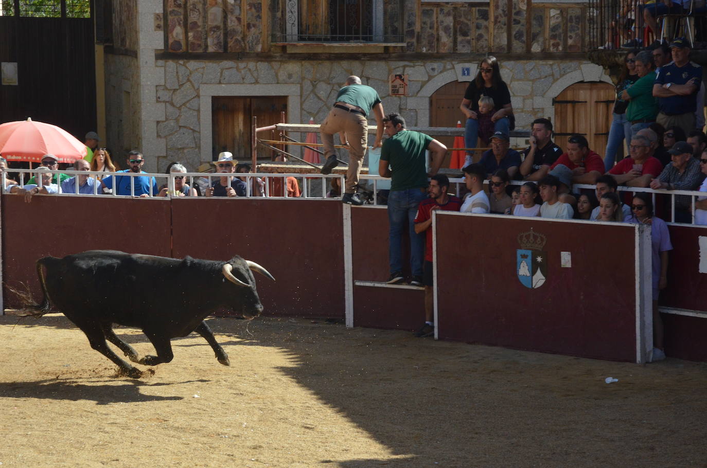 Último encierro en El Maíllo