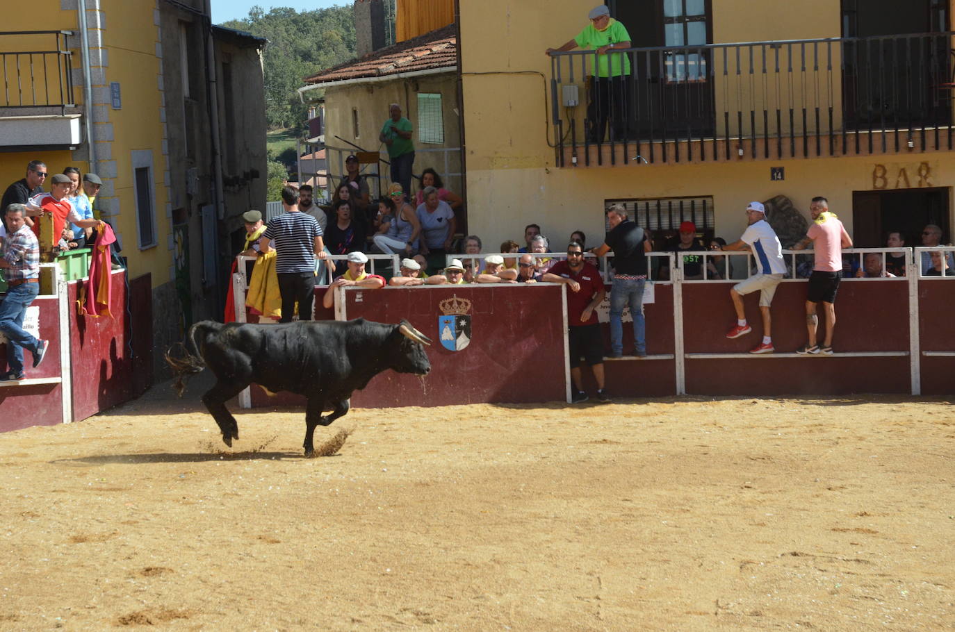 Último encierro en El Maíllo