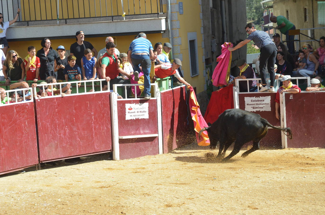 Último encierro en El Maíllo