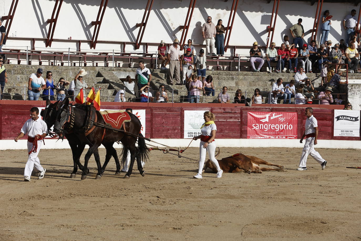 La marea amarilla alienta el toreo