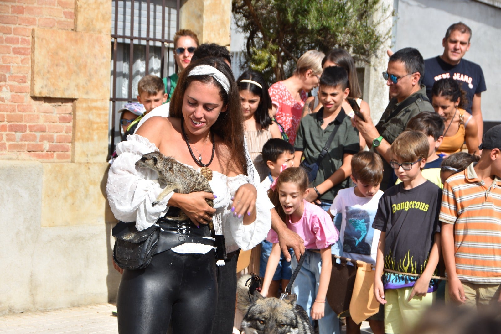 Un lobo canadiense o un suricato, en el Mercado Medieval de Castellanos