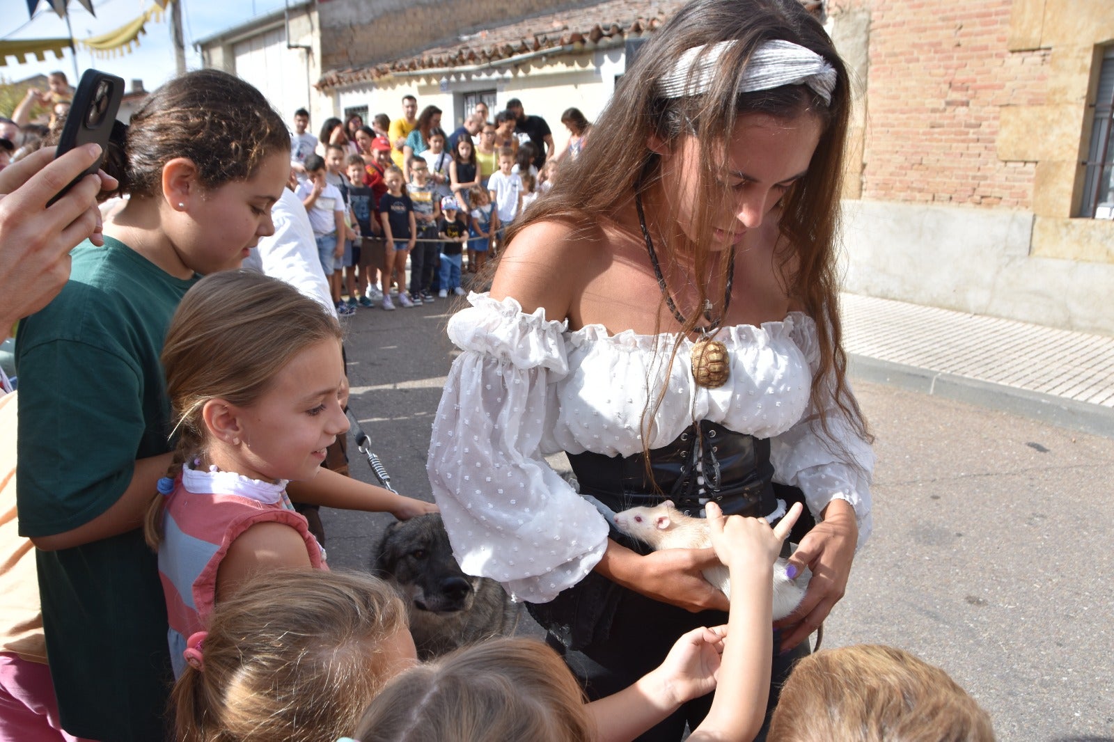 Un lobo canadiense o un suricato, en el Mercado Medieval de Castellanos