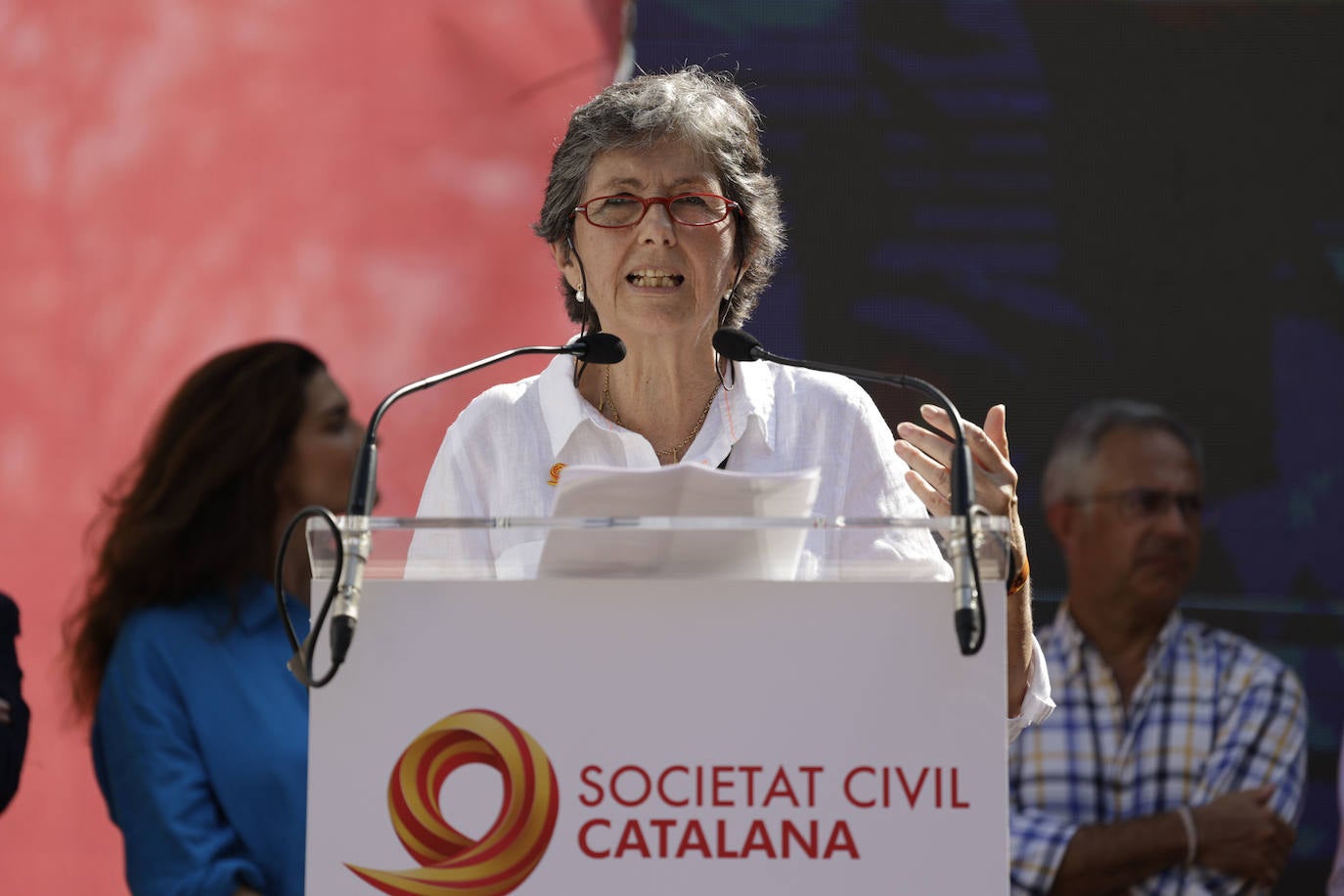 Los ingeniosos mensajes de la pancartas de la manifestación contra la amnistía en Barcelona