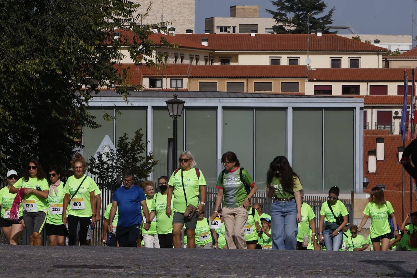 Las mejores imágenes de la Marcha contra el Cáncer de Salamanca