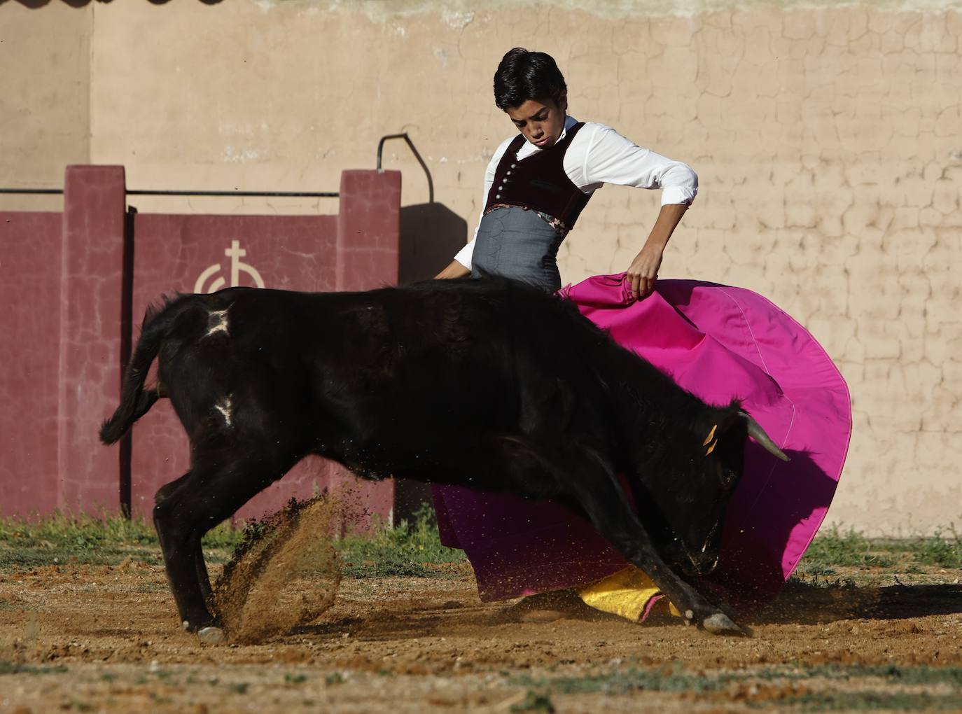 Marco Pérez en el tentadero de Peña de Cabra, con vacas de Loreto Charro