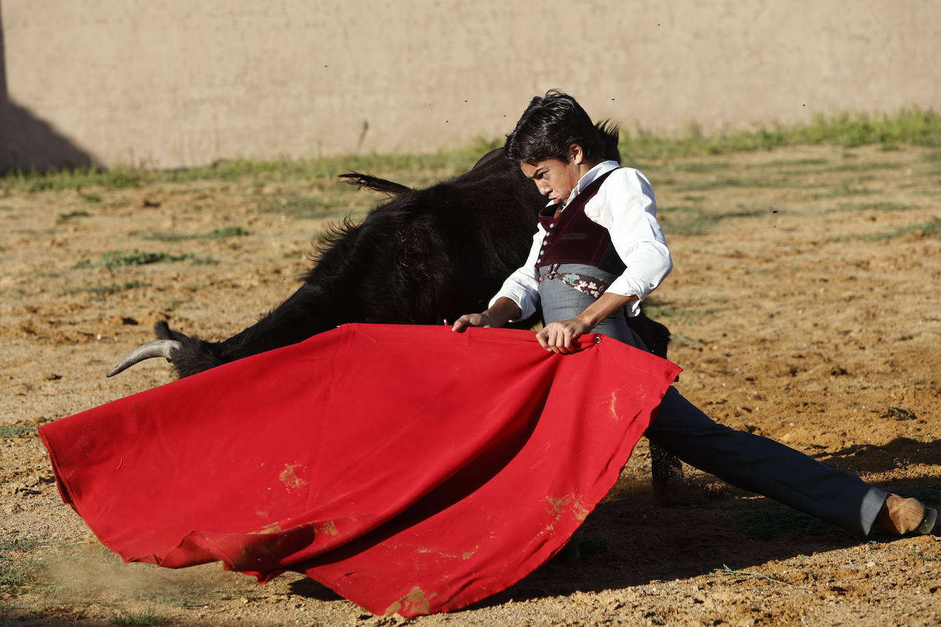 Marco Pérez en el tentadero de Peña de Cabra, con vacas de Loreto Charro