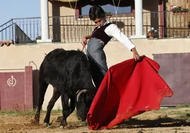 Natural de Marco Pérez a una noble vaca de Loreto Charro