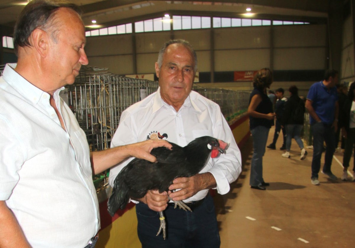 Gallinas de la época de los Reyes Católicos