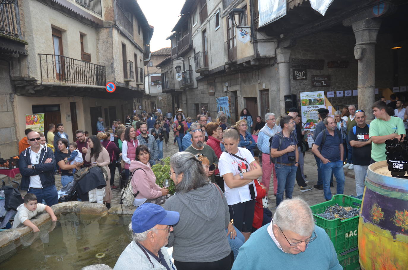 San Martín alza su copa para despedir la X Fiesta de la Vendimia