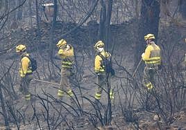 Una cuadrilla revisa el terreno afectado tras apagar un incendio forestal.