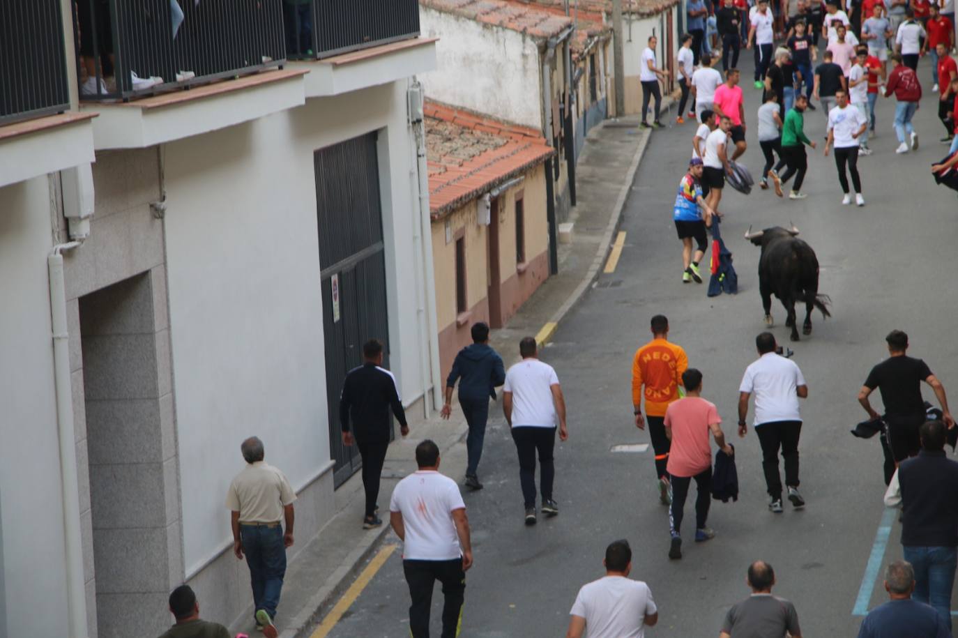 Así ha sido el Toro de Cajón en Alba de Tormes