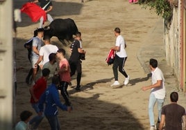 Así ha sido el Toro de Cajón en Alba de Tormes