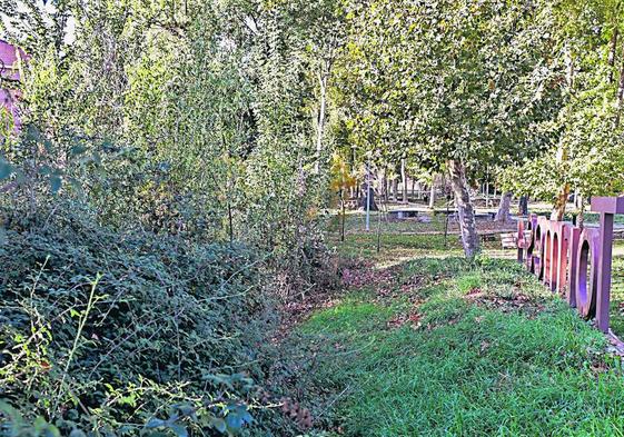 El regato ubicado en el parque Lazarillo de Tormes obstruido por vegetación salvaje.