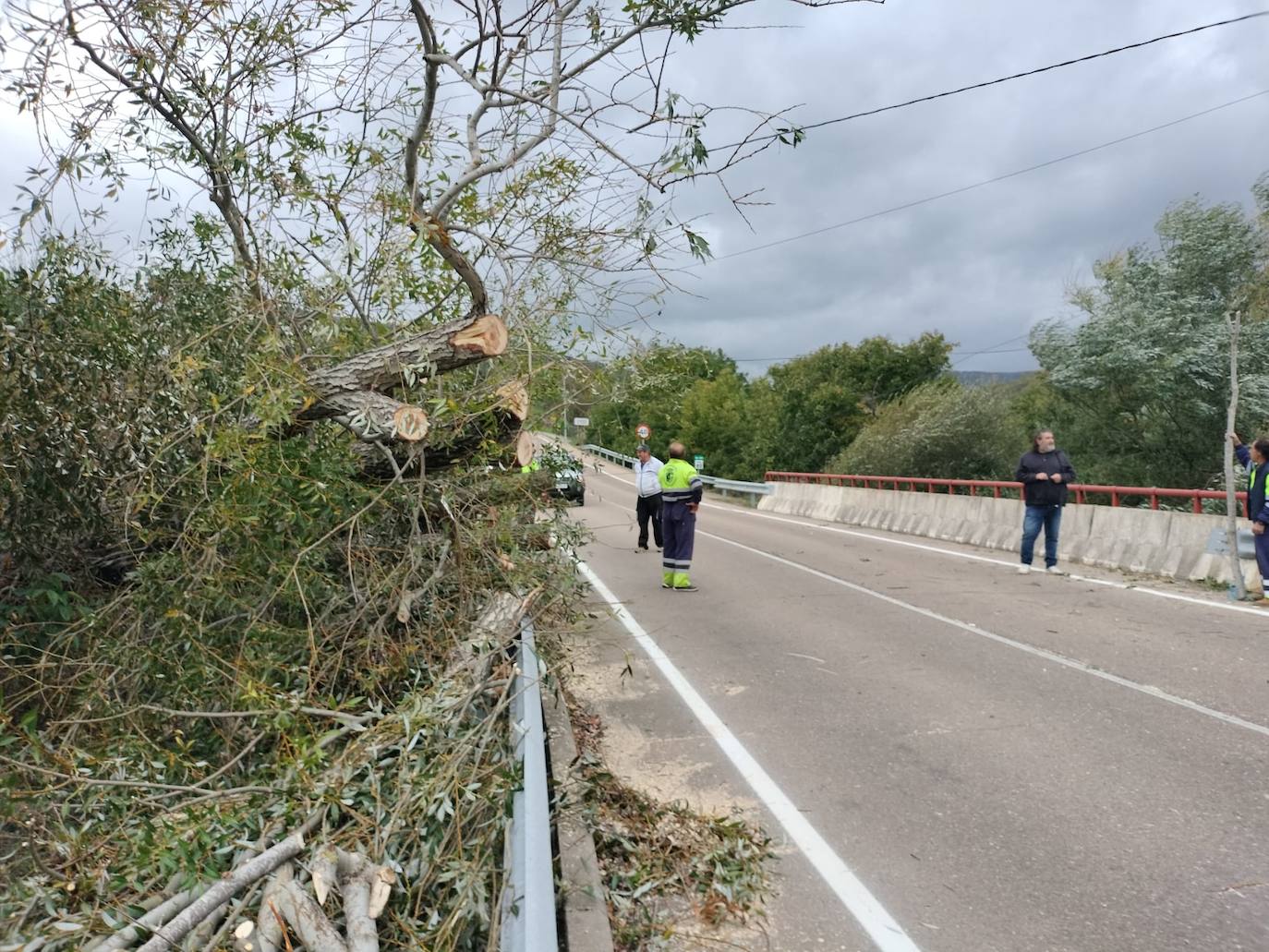 Los efectos de las fuertes rachas del viento en la provincia de Salamanca