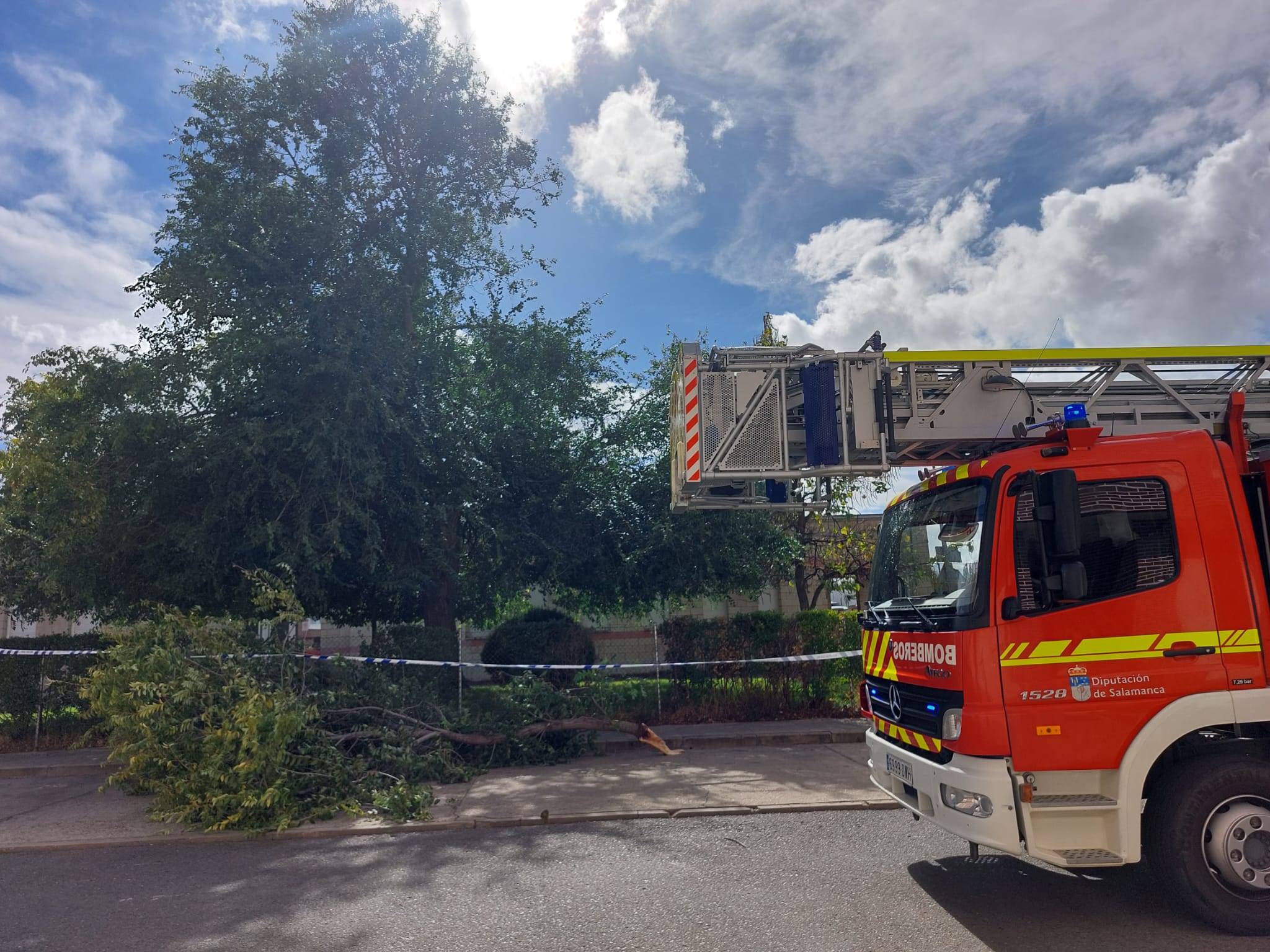 Los efectos de las fuertes rachas del viento en la provincia de Salamanca