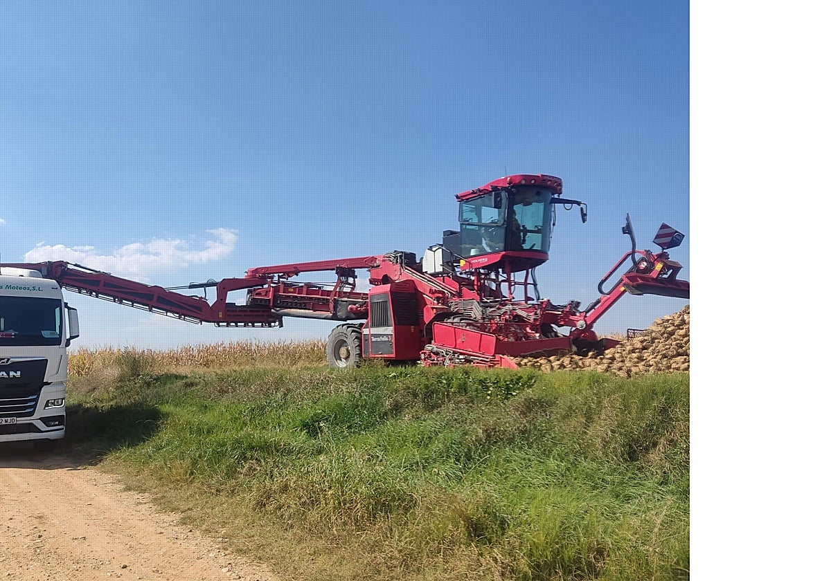 La espectacular máquina que trabaja en Salamanca y que es la gran sensación