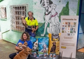 Setenta protectoras de animales se han beneficiado de la campaña.