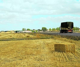Paja en las tierras durante la cosecha.