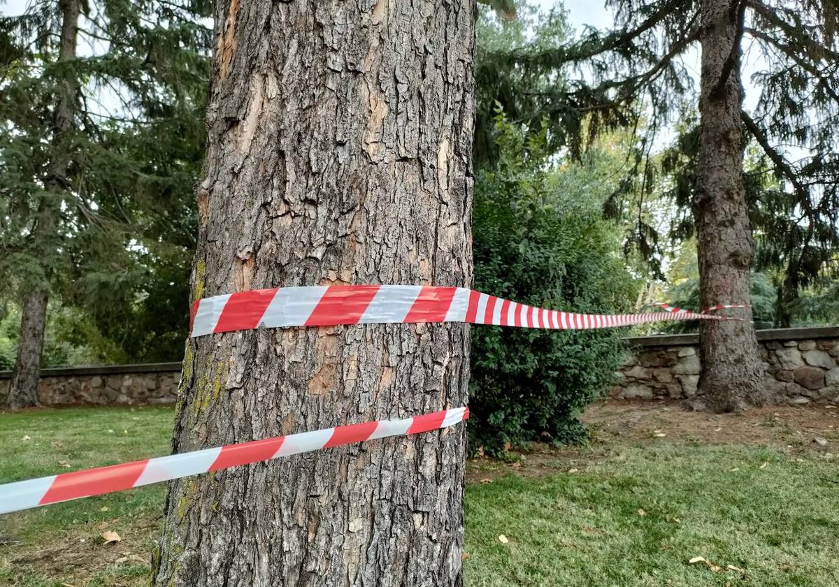 El viento obliga a volver a cerrar ocho parques y zonas arboladas