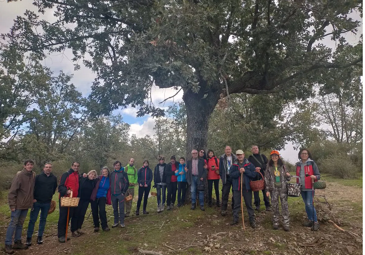 Escurial de la Sierra muestra su riqueza micológica