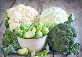 Conjunto de verduras crucíferas