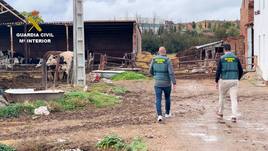 La Guardia Civil investigando en una de las fincas