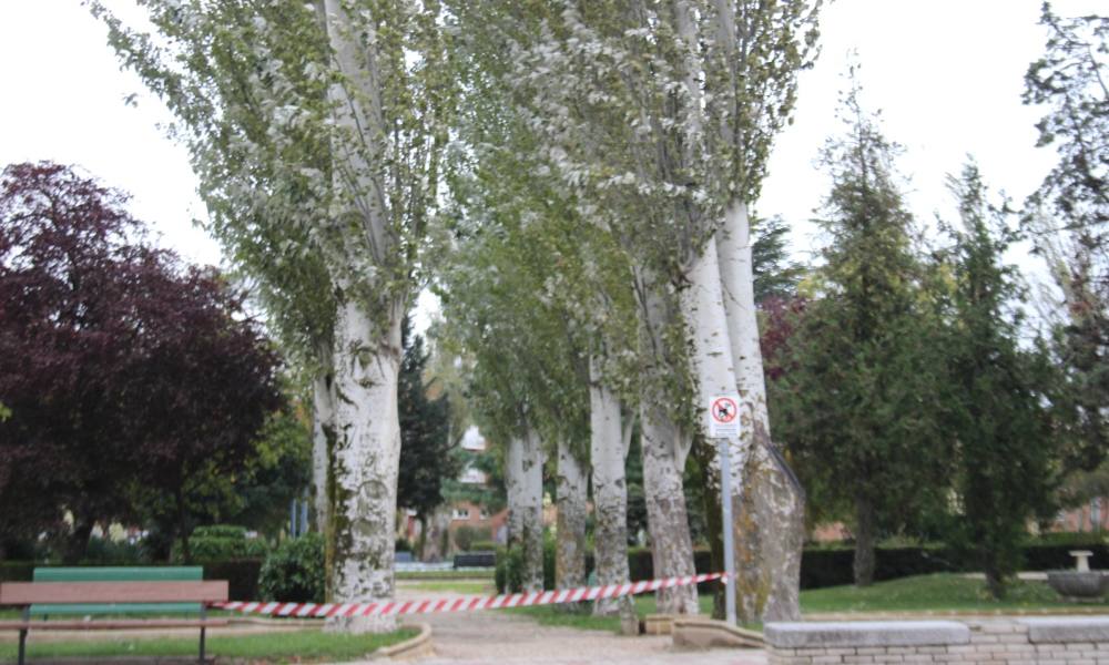 El temporal de lluvia y viento Ciarán deja su huella en la comarca de Peñaranda