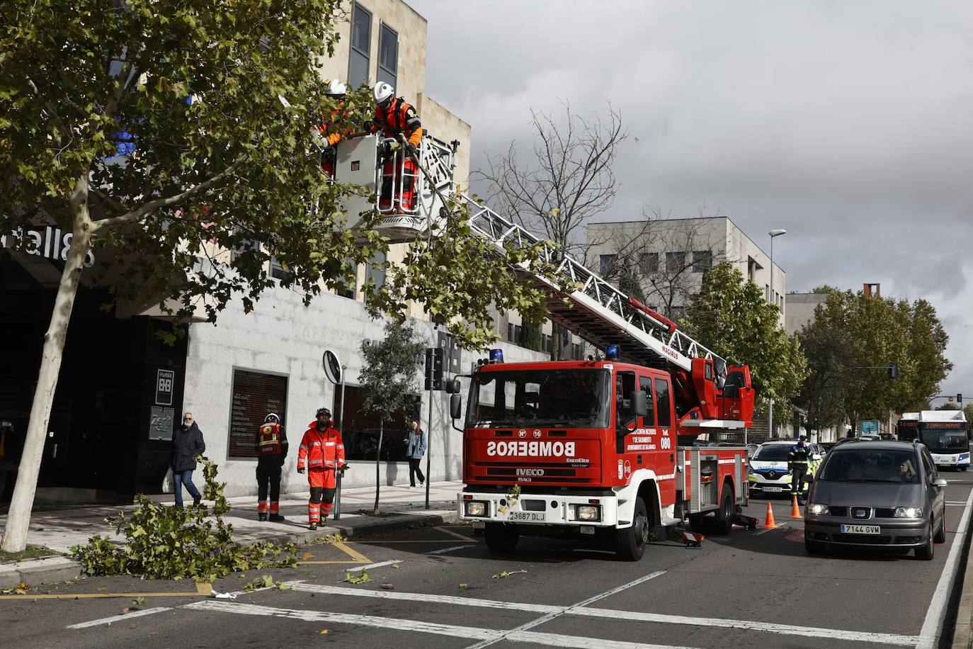 Los efectos de la borrasca Ciarán en Salamanca, en imágenes