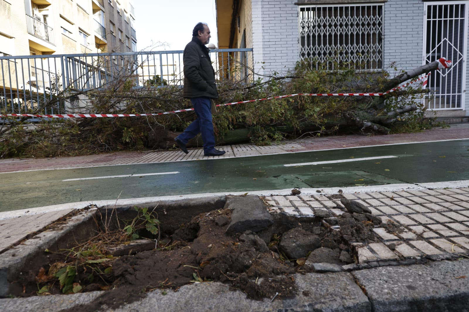 Los efectos de la borrasca Ciarán en Salamanca, en imágenes