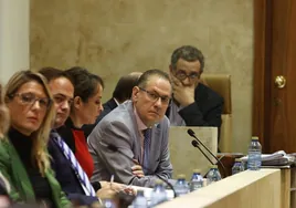 María José Coca, Ángel Molina, Carmen Seguín y Fernando Carabias, en el pleno de este viernes.