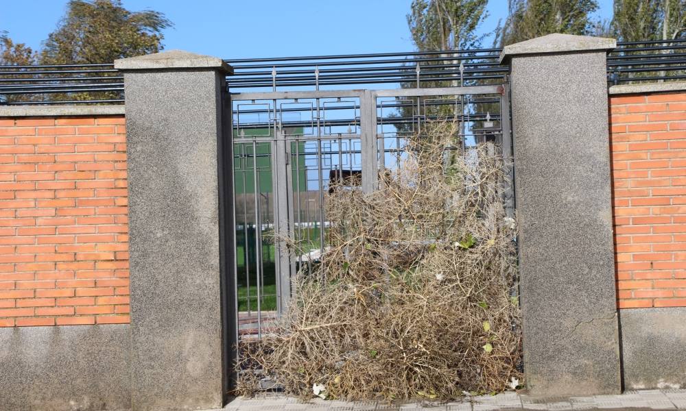 La comarca de Peñaranda siente la borrasca &#039;Domingos&#039;