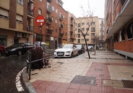 Retirada de ramas en la calle Juan Picornell de Salamanca