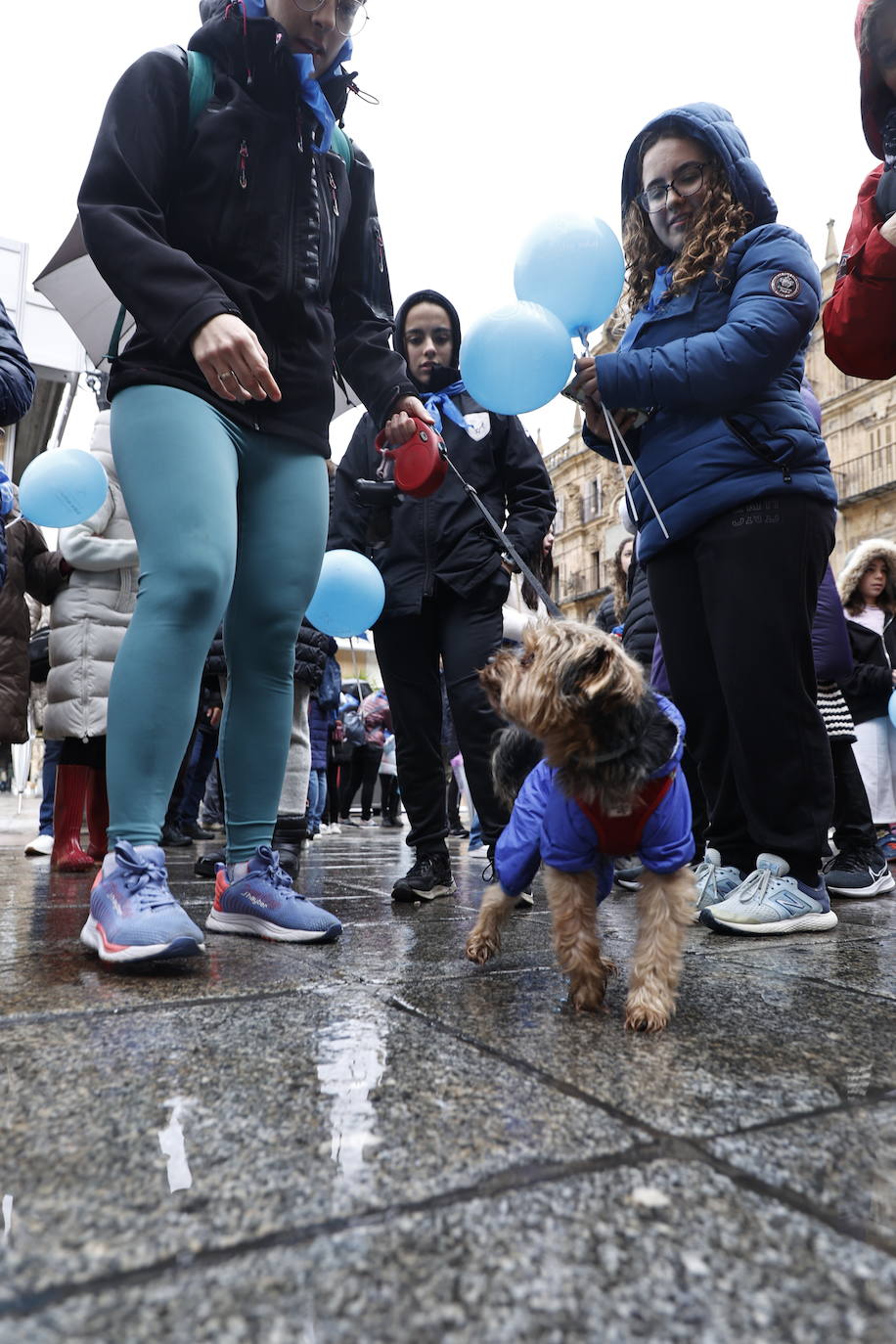 La marcha por la diabetes en Salamanca, en imágenes