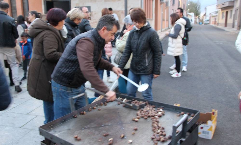 Castañas a un euro en Cantaracillo y Babilafuente